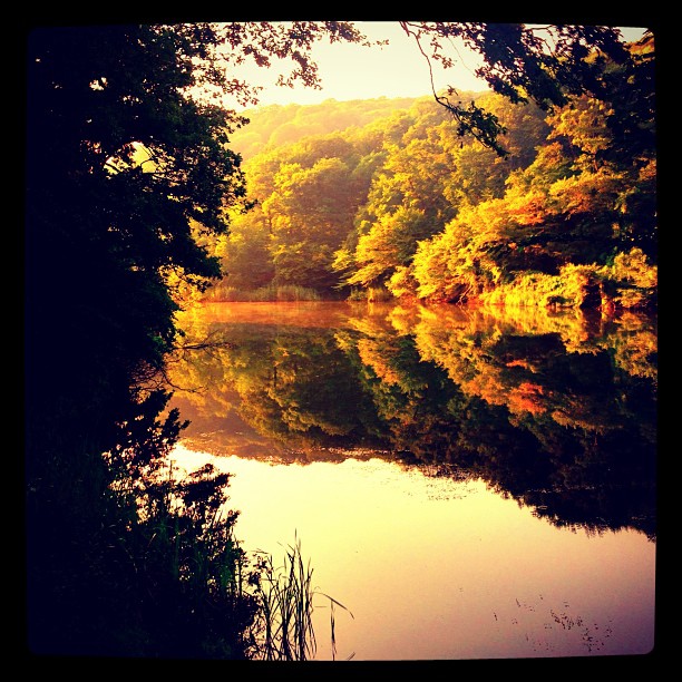 It is never too late to become what you might have been