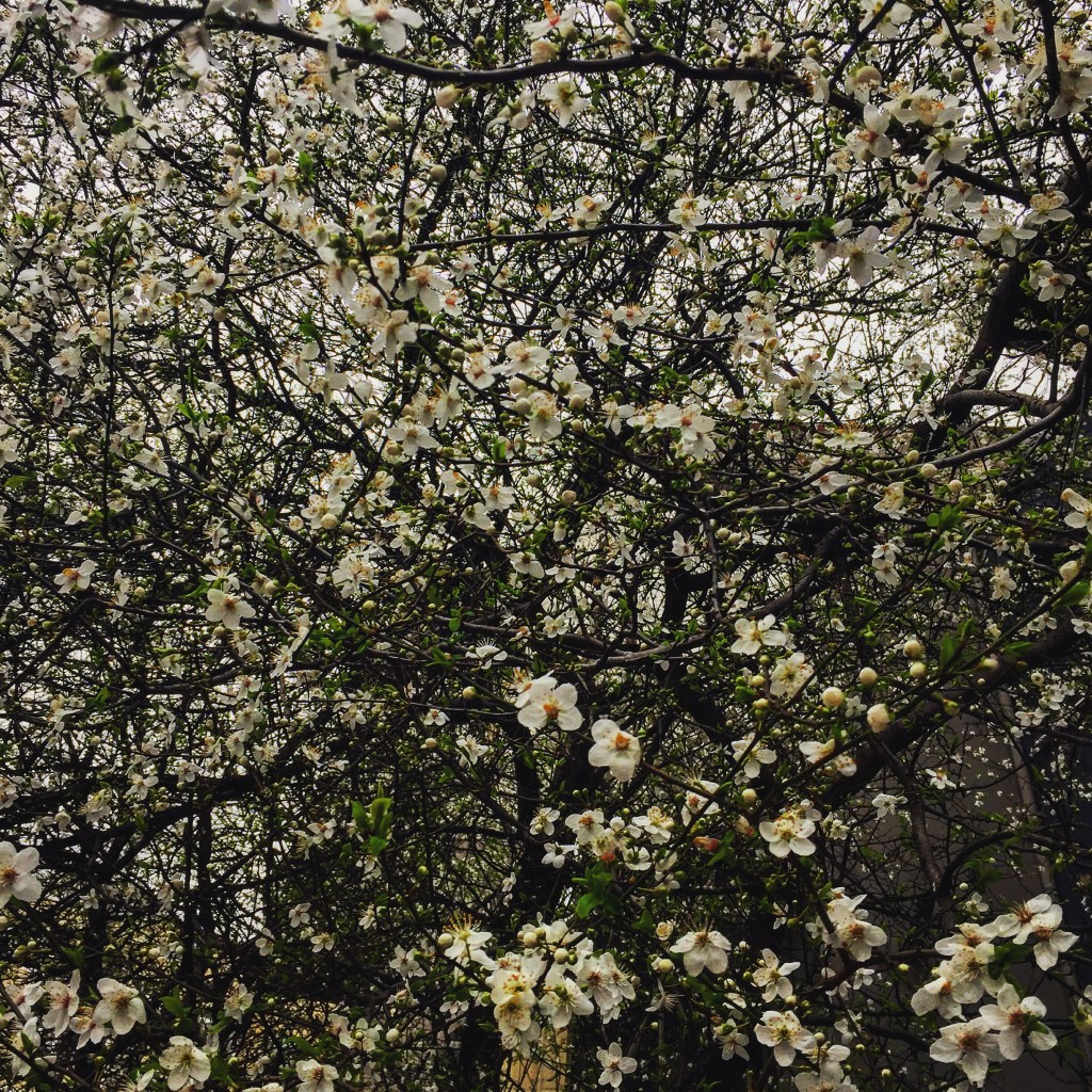 Red pill or blue&nbsp;pill