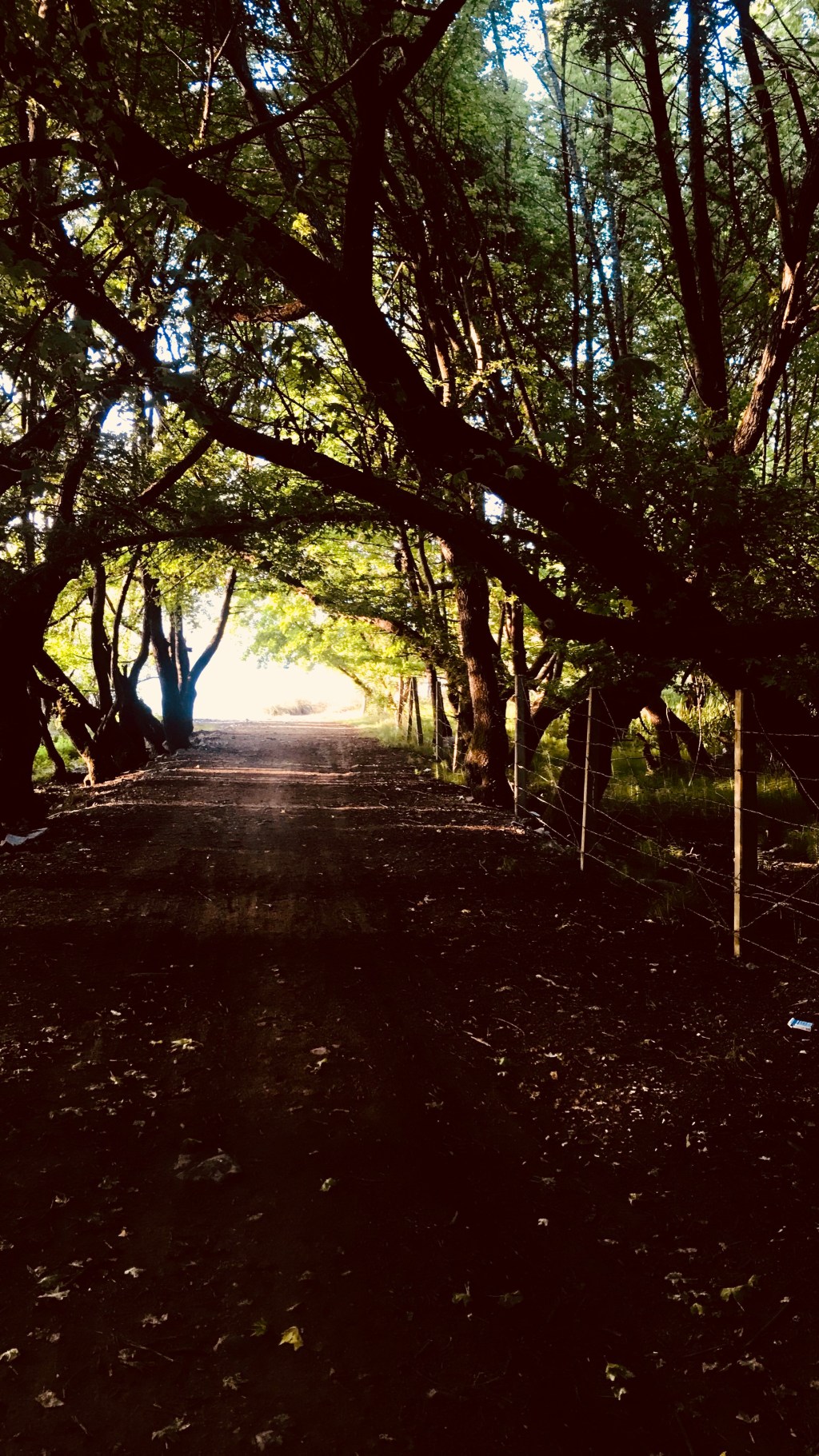 Letting go or re-defining&nbsp;terms